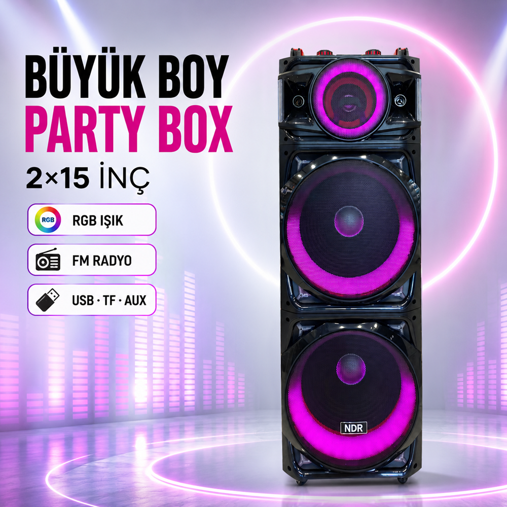 NDR NDR1526 Çift Karaoke Mikrofonlu Bluetooth Hoparlör FM Radyo 100W 2x15 İnç RGB Kumandalı Siyah