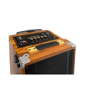 JBR JBR8808 Çift Karaoke Mikrofonlu Bluetooth Hoparlör FM Radyo 50W 2x8 İnç RGB Kumandalı Ahşap