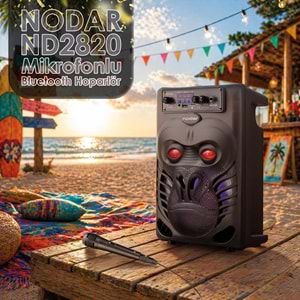 NODAR ND2820 Karaoke Mikrofonlu Bluetooth Hoparlör FM Radyo 8 İnç RGB Siyah