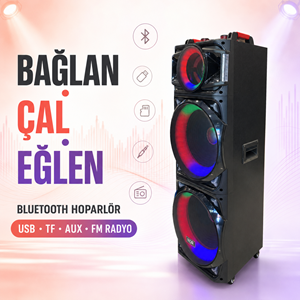 NDR NDR1526 Çift Karaoke Mikrofonlu Bluetooth Hoparlör FM Radyo 100W 2x15 İnç RGB Kumandalı Siyah
