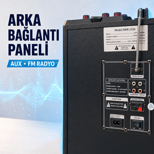 NDR NDR1526 Çift Karaoke Mikrofonlu Bluetooth Hoparlör FM Radyo 100W 2x15 İnç RGB Kumandalı Siyah