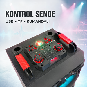 NDR NDR1526 Çift Karaoke Mikrofonlu Bluetooth Hoparlör FM Radyo 100W 2x15 İnç RGB Kumandalı Siyah