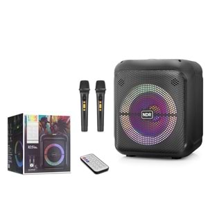 NDR NDR2210 Çift Karaoke Mikrofonlu Bluetooth Hoparlör FM Radyo 20W 10.5 İnç RGB Kumandalı Siyah