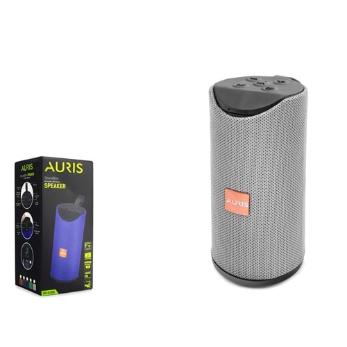 AURIS ARS-KLN180 Bluetooth Hoparlör FM Radyo TF AUX