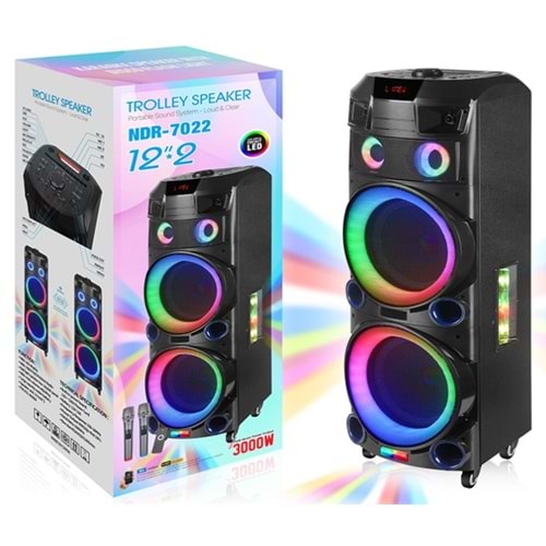 NDR NDR7022 Bluetooth Kabin Hoparlör FM 2 x 12 LED’li Çift Mikrofonlu Kumandalı 38 x 36 x 116 cm - Siyah